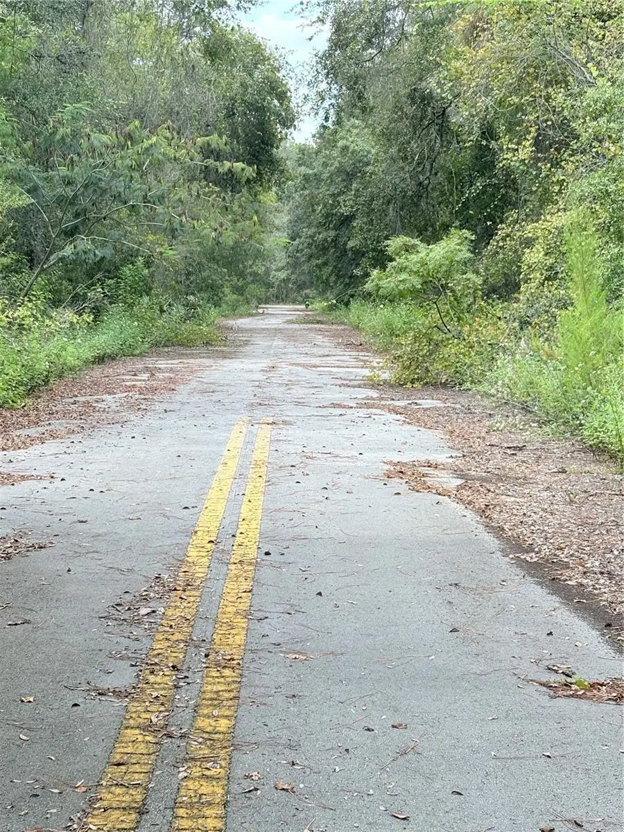 TBD NE 237th Place, Fort McCoy Anthony, FL 32134 - #2