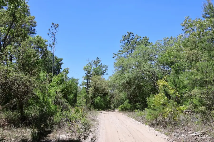 TBD SW 157th Lane, Dunnellon, FL 34432 - #3