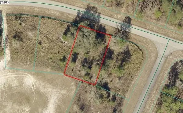 TBD LOT 11 SW 144th St Road, OCALA, FL 34473