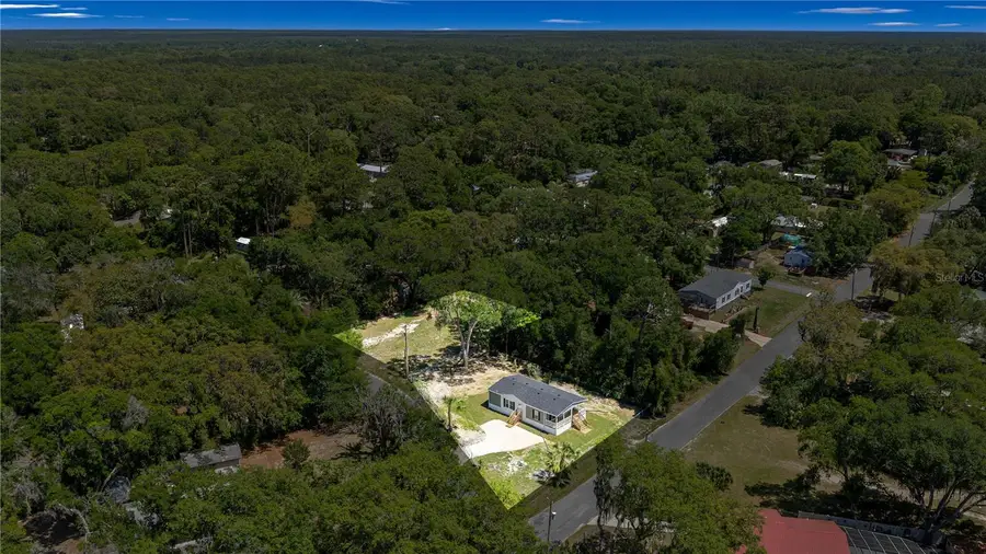 17360 SE 65th Street, Ocklawaha, FL 32179 - #3