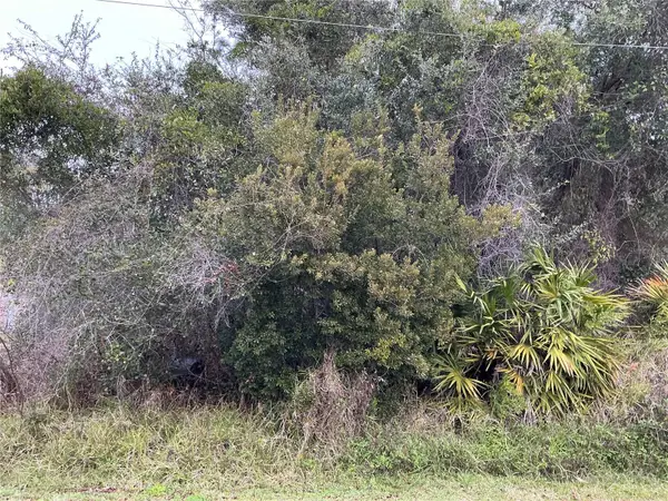 12 Fayy Lane, PALM COAST, FL 32137