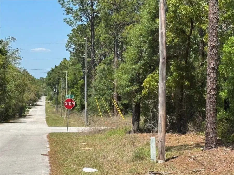 Lot 2 SW 59th Lane, Dunnellon, FL 34431 - #2