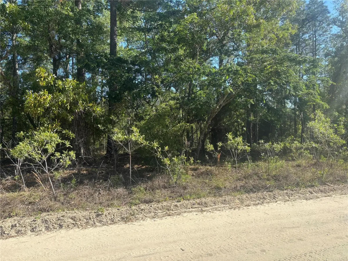 0000 SW 8th Place, Ocala, FL 34481 - #1