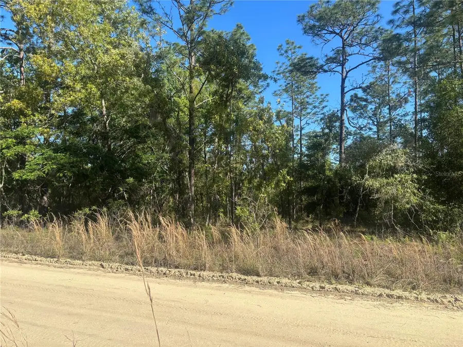 0000 SW 8th Place, Ocala, FL 34481 - #3
