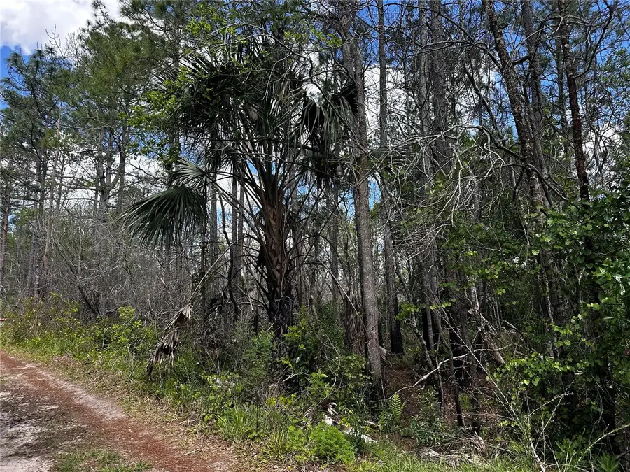 00 Kola Road, New Smyrna Beach, FL 32168 - #2