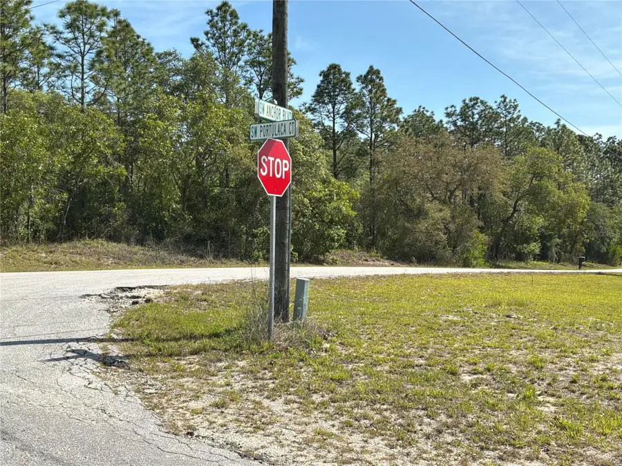 TBD SW Anchor Boulevard #20, Dunnellon, FL 34431 - #2
