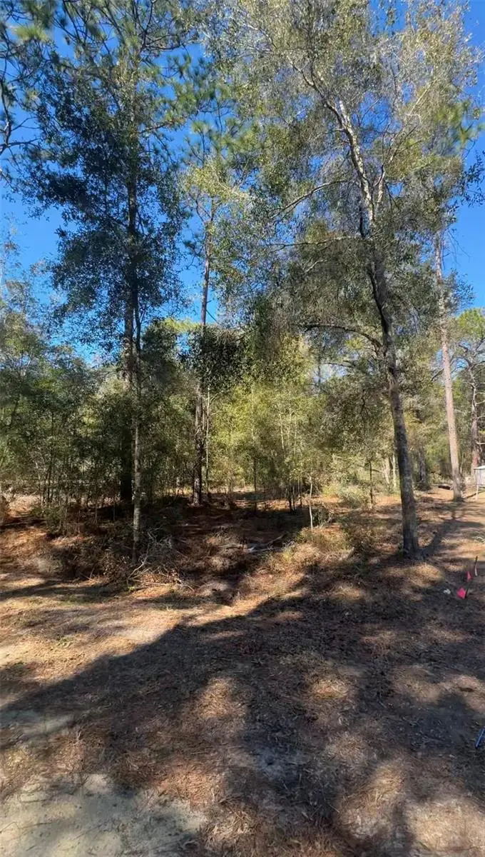 TBD SW 45th Circle, Ocala, FL 34474 - #2