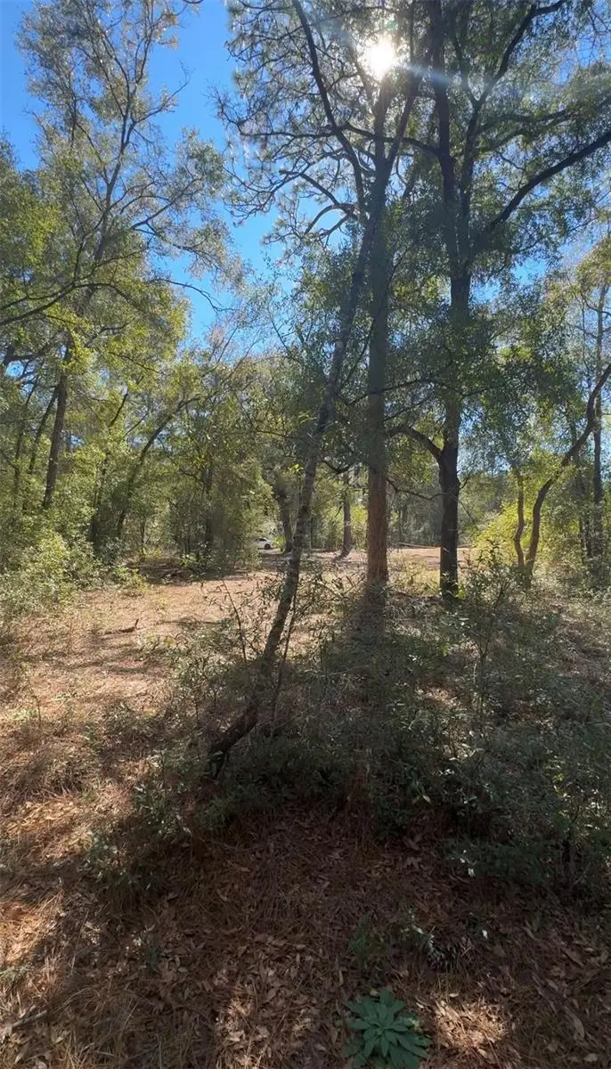 TBD SW 45th Circle, Ocala, FL 34474 - #3