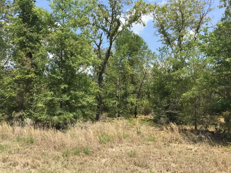 7231 NE 136th Avenue, Williston, FL 32696 - #2