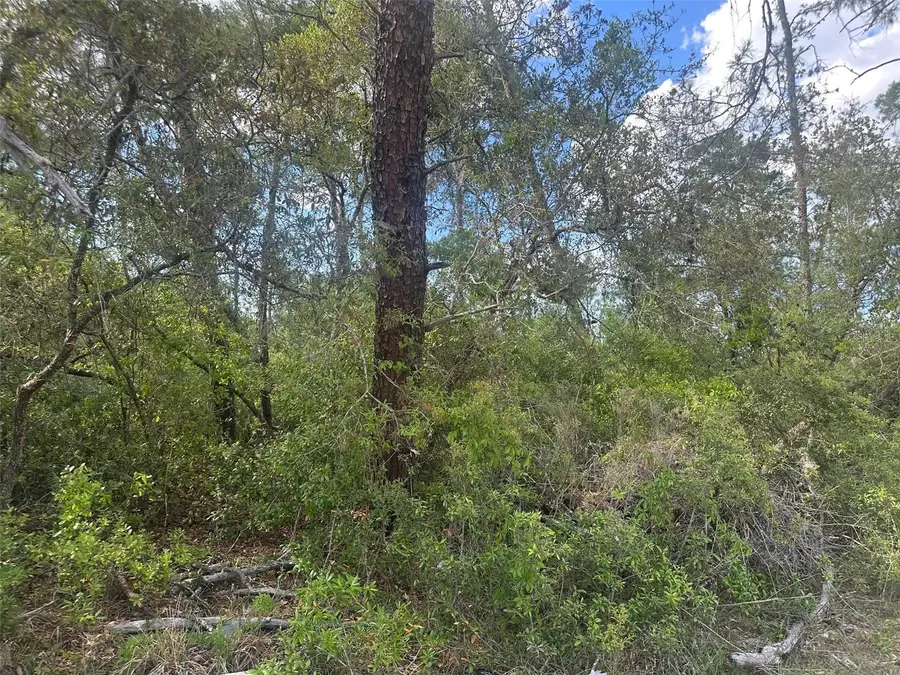 Lot 6 SW 170th Place, Ocala, FL 34473 - #3