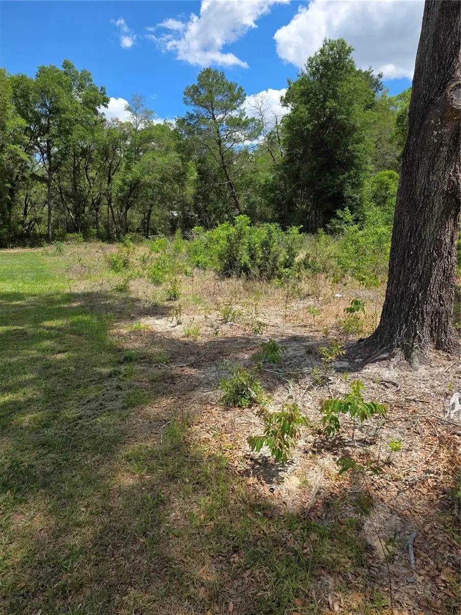 10679 SW 110th Court, Dunnellon, FL 34432 - #2