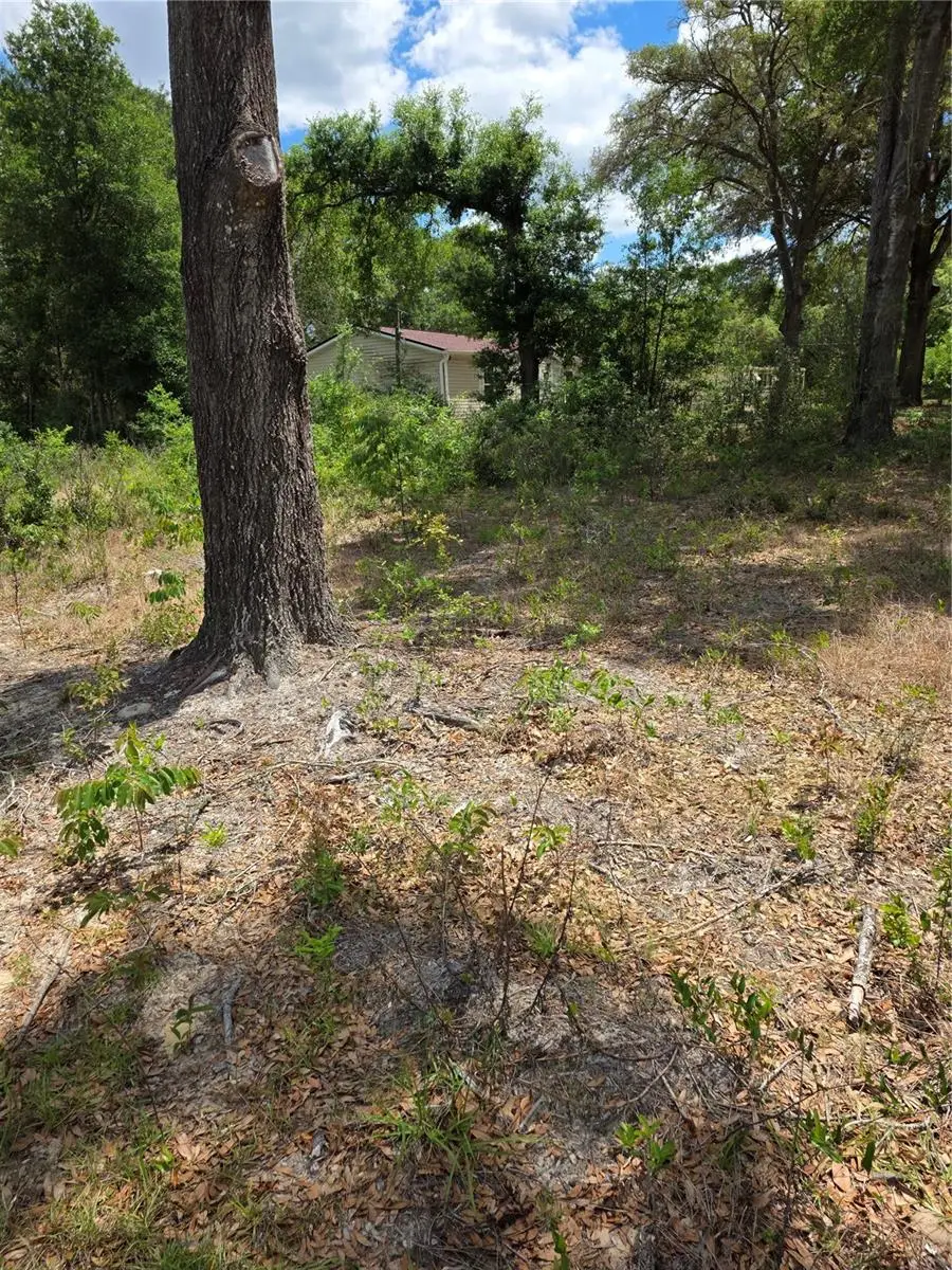 10679 SW 110th Court, Dunnellon, FL 34432 - #3