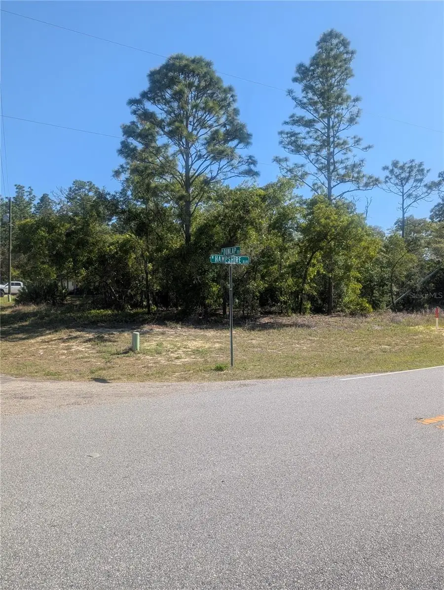 6443 N Dunlap Terrace, Citrus Springs, FL 34433 - #3