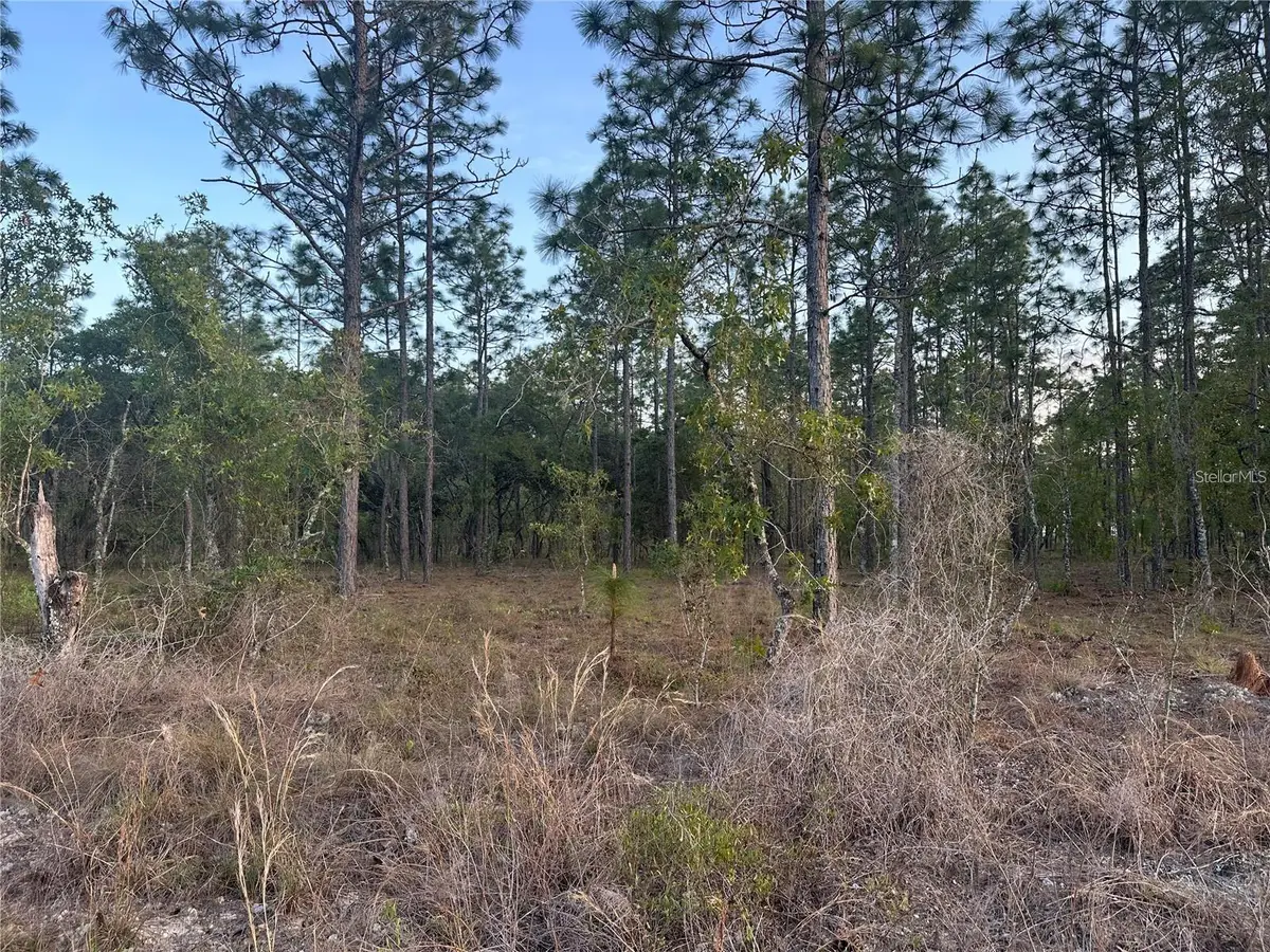 LOT 3 NW Amberjack Ave., Dunnellon, FL 34431 - #1