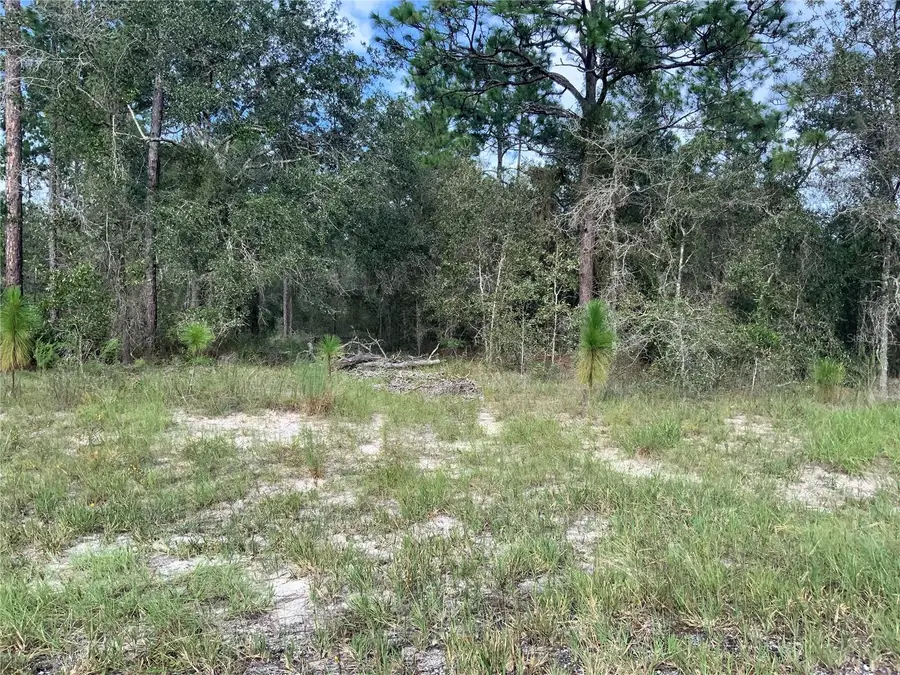 00 SE 139th Lot 23 Terrace, Morriston, FL 32668 - #2