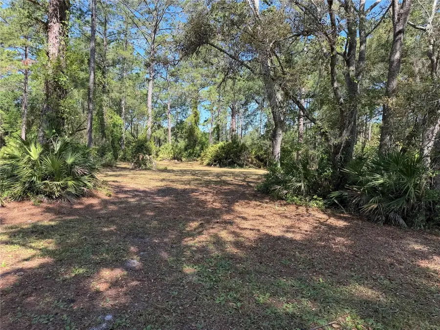 SE 180th Avenue Road, Ocklawaha, FL 32179 - #2