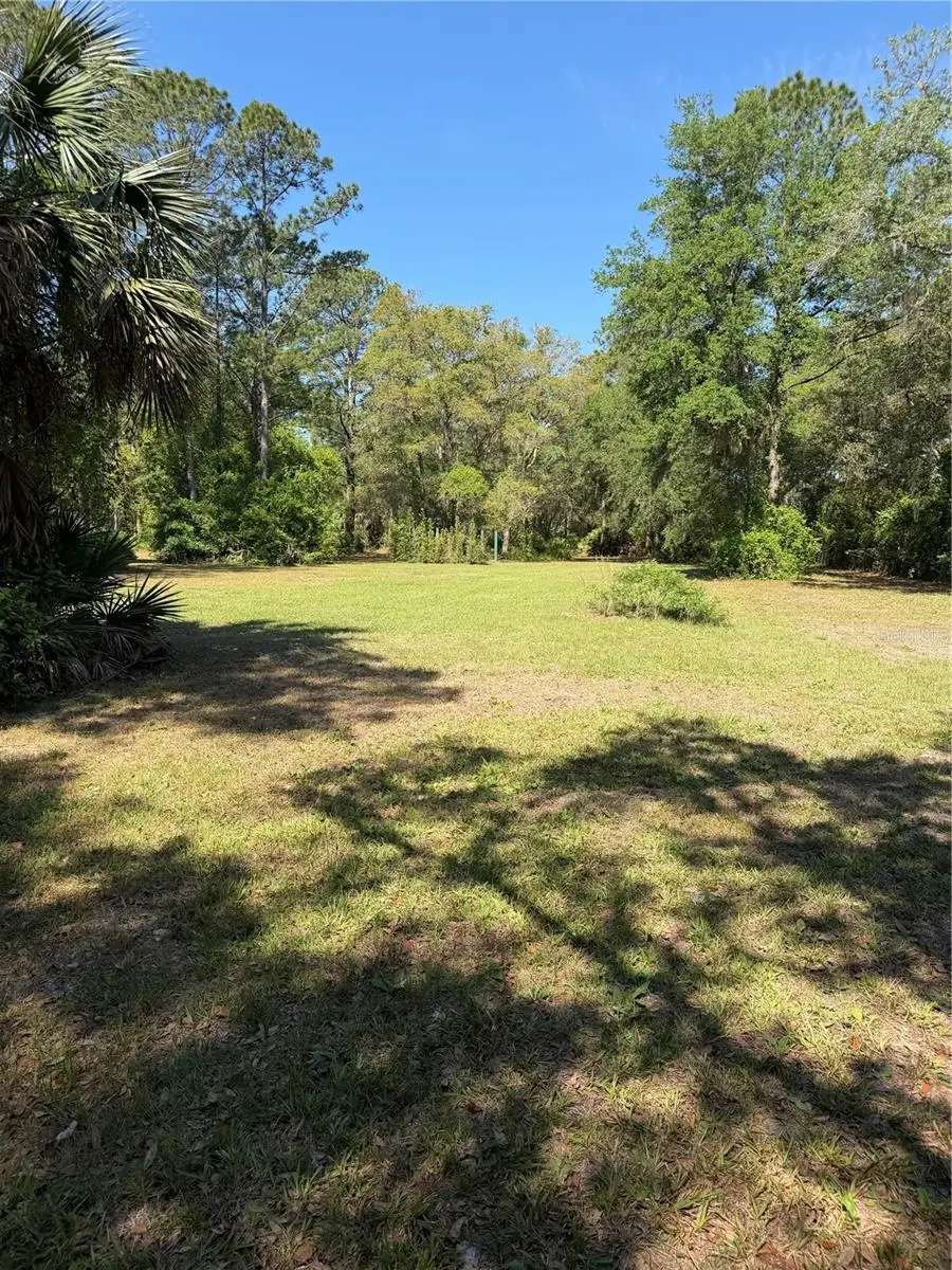 SE 180th Avenue Road, Ocklawaha, FL 32179 - #3
