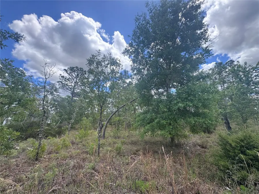 TBD NE 15oth Court, Williston, FL 32696 - #2