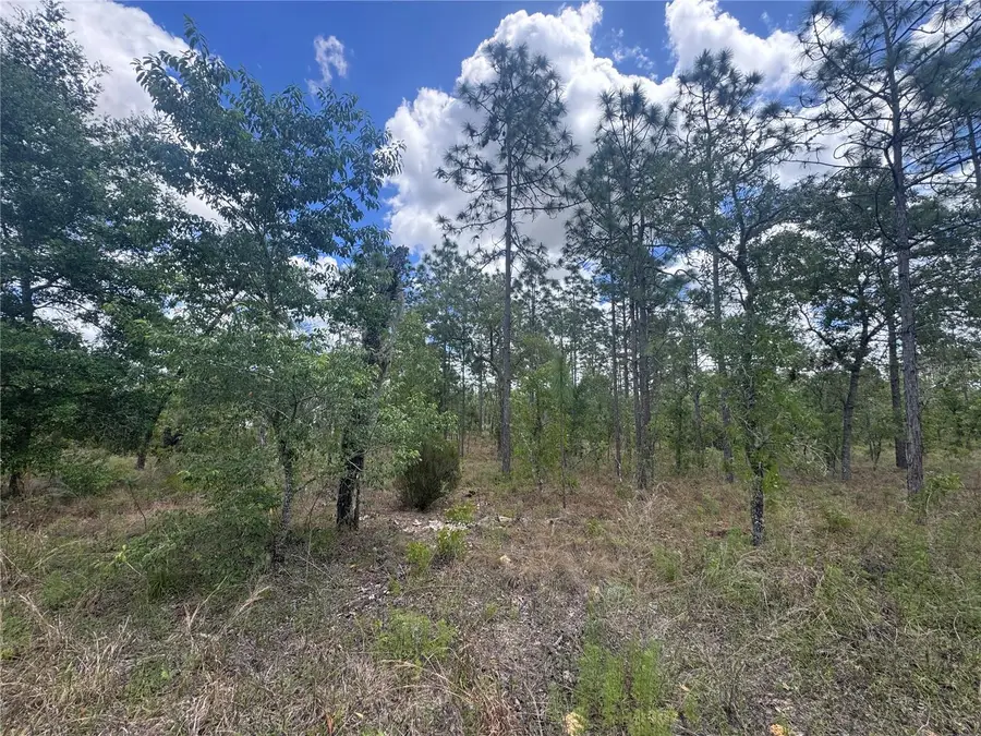 TBD NE 15oth Court, Williston, FL 32696 - #3