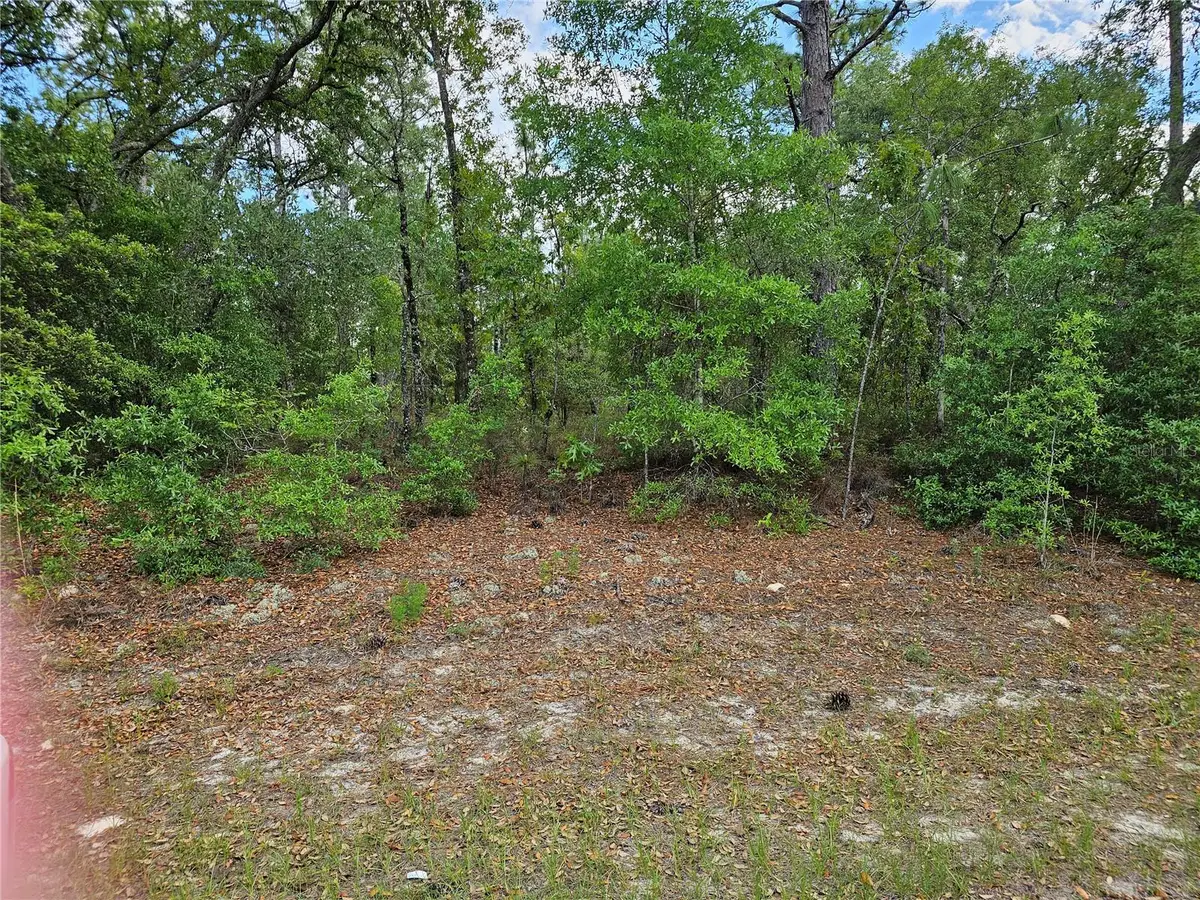 767 E Byrd, Dunnellon, FL 34434 - #1