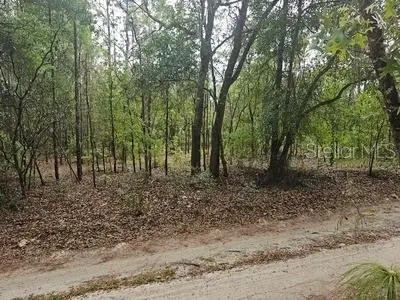 00 SW 90 Street, Dunnellon, FL 34432 - #1