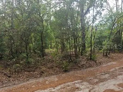 00 SW 90 Street, Dunnellon, FL 34432 - #2