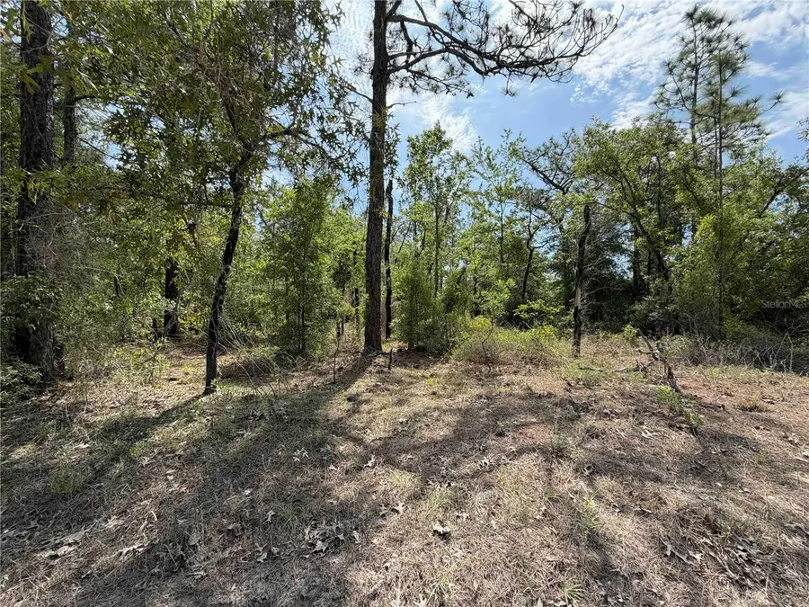 TBD NE 110 Avenue, Bronson, FL 32621 - #2