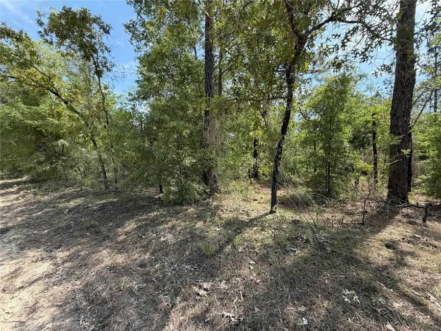 TBD NE 110 Avenue, Bronson, FL 32621 - #3