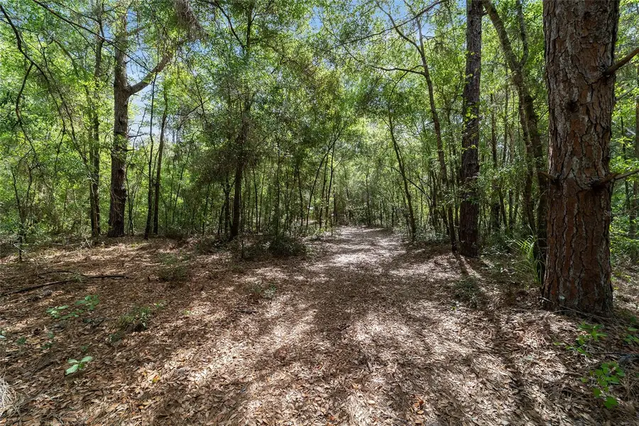 11953 N Glenview Avenue, Dunnellon, FL 34434 - #2