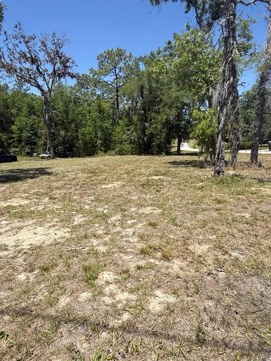TBD NE 152 Terrace, Williston, FL 32696 - #3