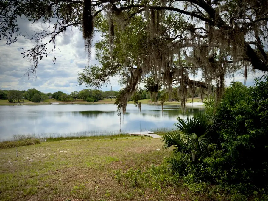 00 SE 146th Terrace Road, Ocklawaha, FL 32179 - #3