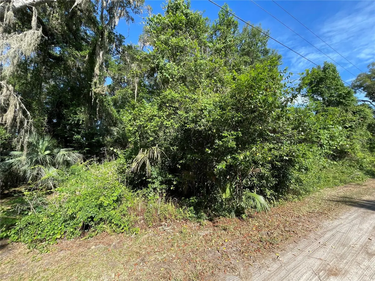 NE 37th Terrace, Citra, FL 32113 - #1