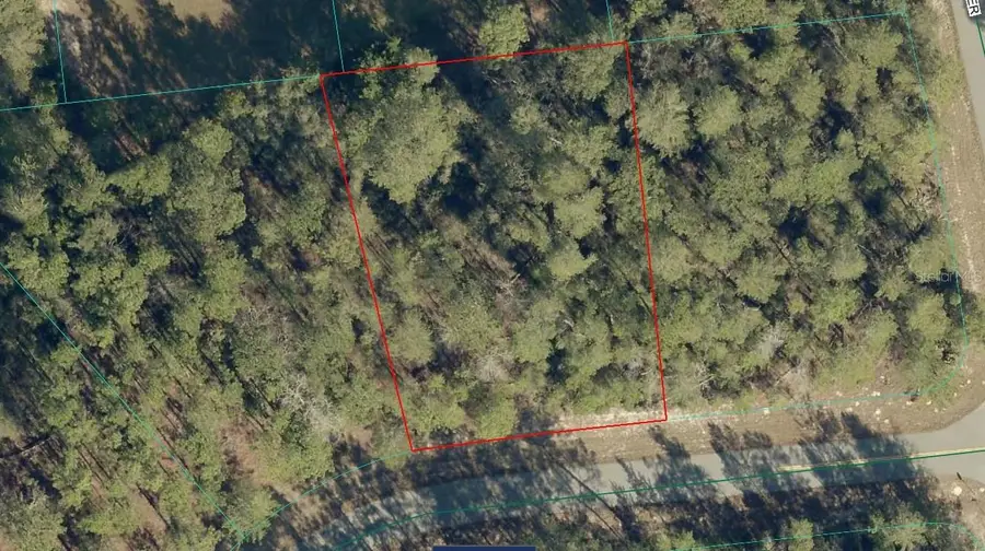 17700 SW 35th Terrace Road, Ocala, FL 34473 - #2