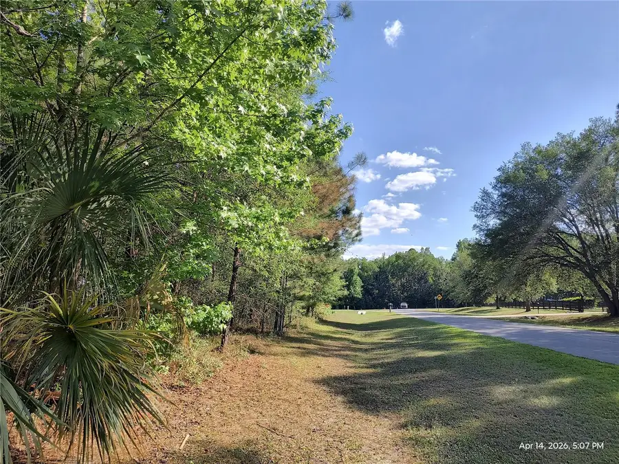 TBD NW 141st Avenue, Williston, FL 32696 - #3