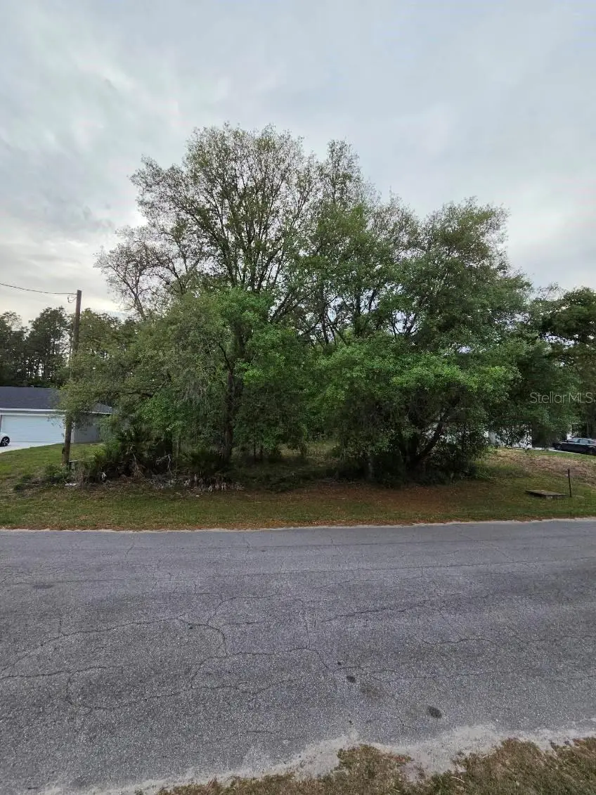 00 Marion Oaks Pass, Ocala, FL 34473 - #1