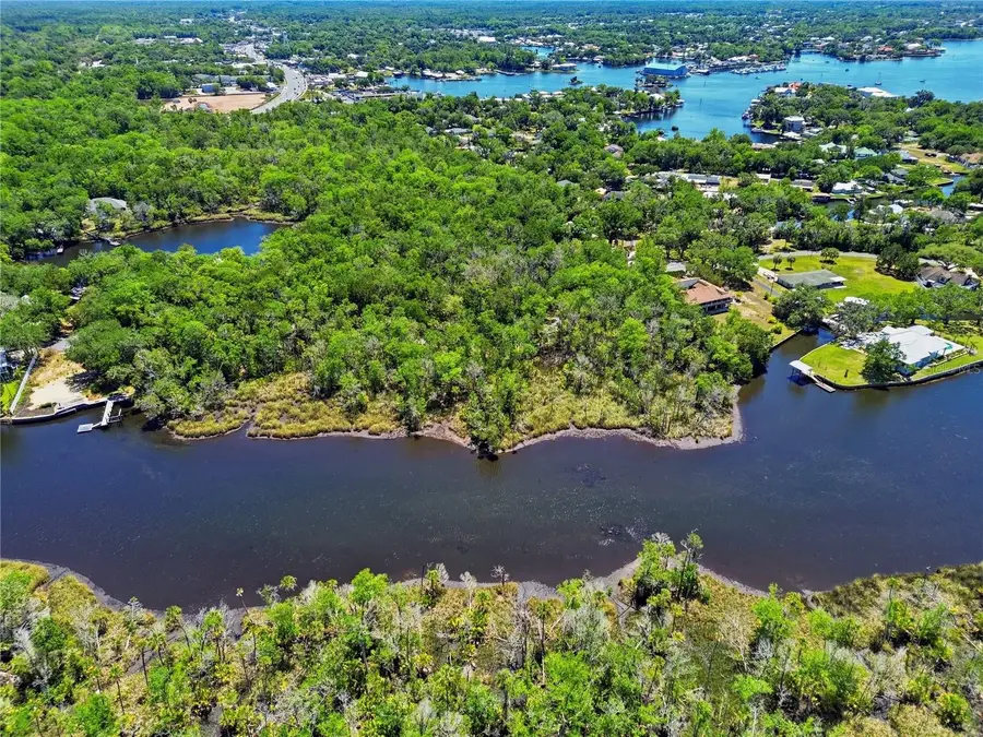 650 Miller Creek Road, Crystal River, FL 34428 - #3