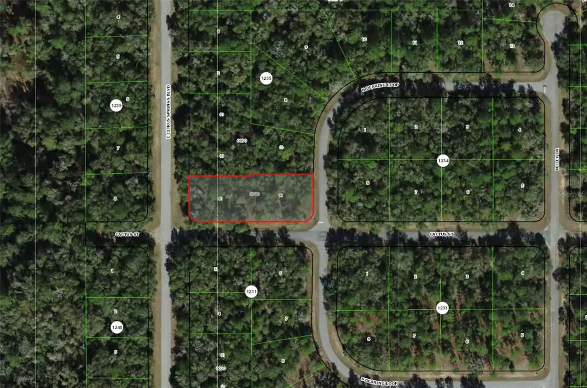 2054 E Citrus Springs Boulevard, Citrus Springs, FL 34434 - #1