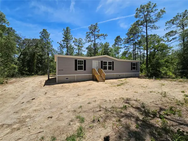 14230 SE 20th Street, MORRISTON, FL 32668