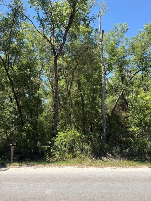 Ne 7th Place, WILLISTON, FL 32696