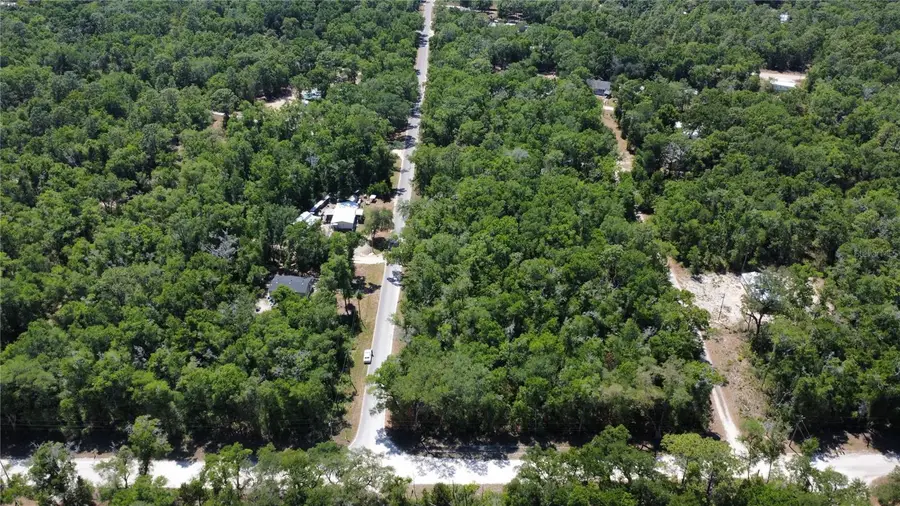 00 Ne 7th Place, Williston, FL 32696 - #3