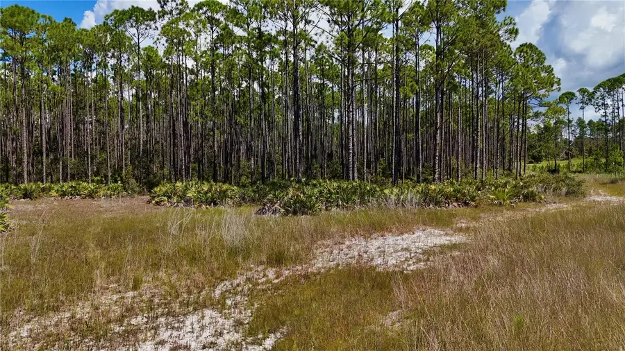 Key Deer Ct,, Perry, FL 32348 - #2