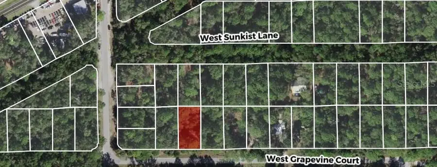 2949 W Grapevine Court, Dunnellon, FL 34433 - #2