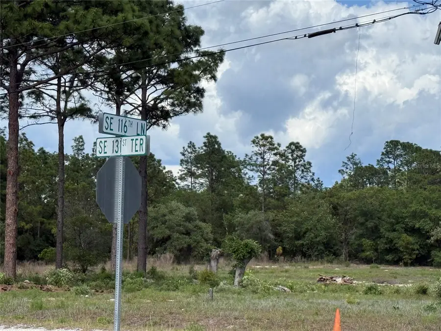 00 SE 116th Lane, Dunnellon, FL 34431 - #2