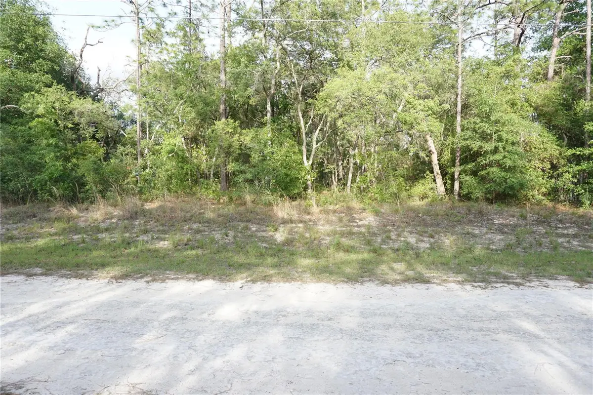 00 (TBD) SW 135 Terrace Road, Dunnellon, FL 34432 - #1