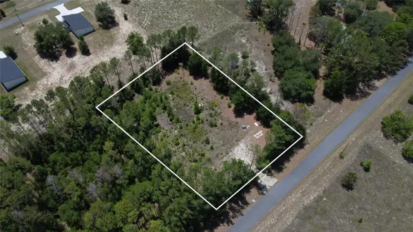 17950 SE 60th Lane, MORRISTON, FL 32668