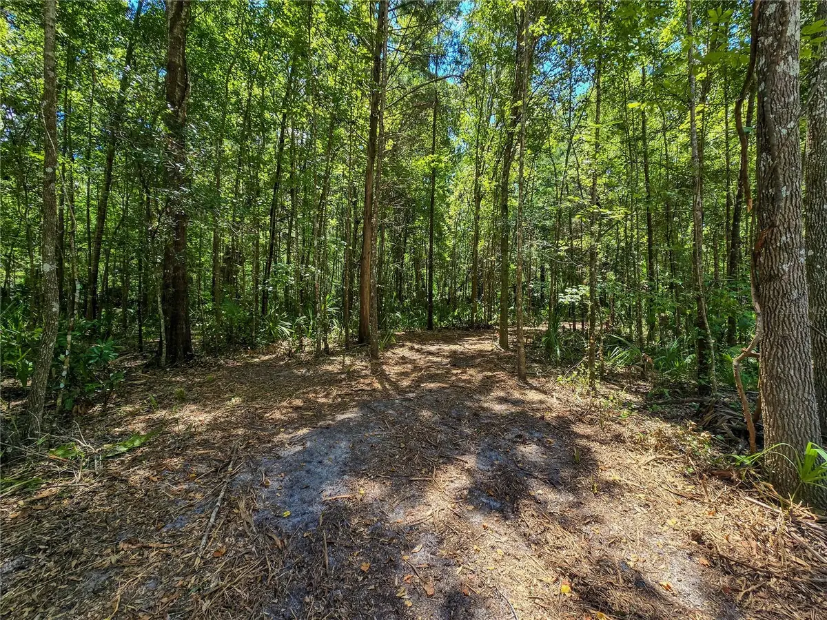 2381 N Jennifer Terrace, Inverness, FL 34453 - #1
