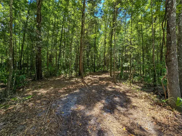 2381 N Jennifer Terrace, INVERNESS, FL 34453