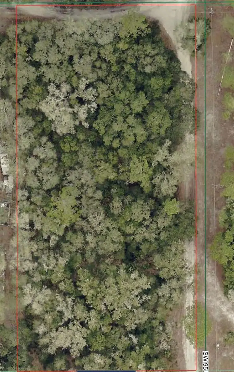 SW 158th Lane, Dunnellon, FL 34432 - #1