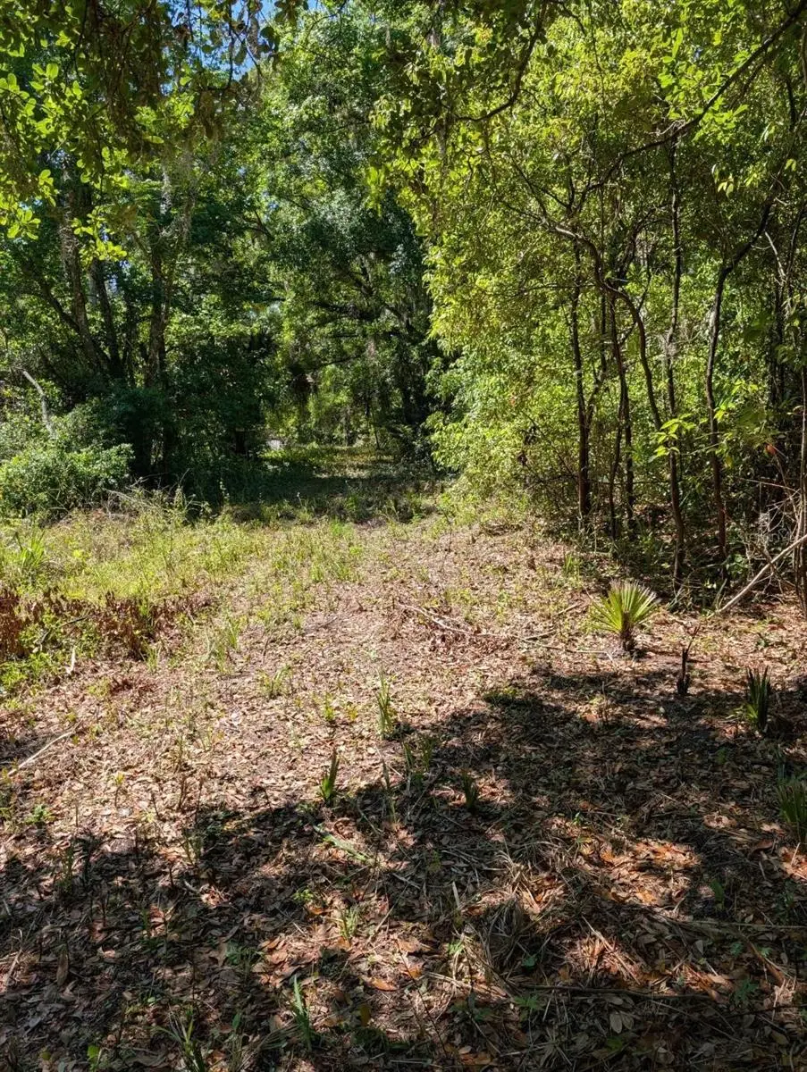 0 NW 202nd Pl, Reddick McIntosh, FL 32664 - #1