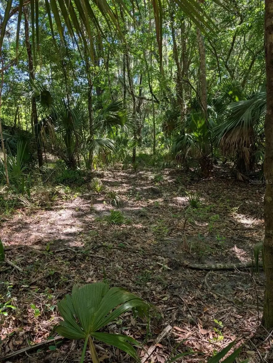 0 NW 202nd Pl, Reddick McIntosh, FL 32664 - #2